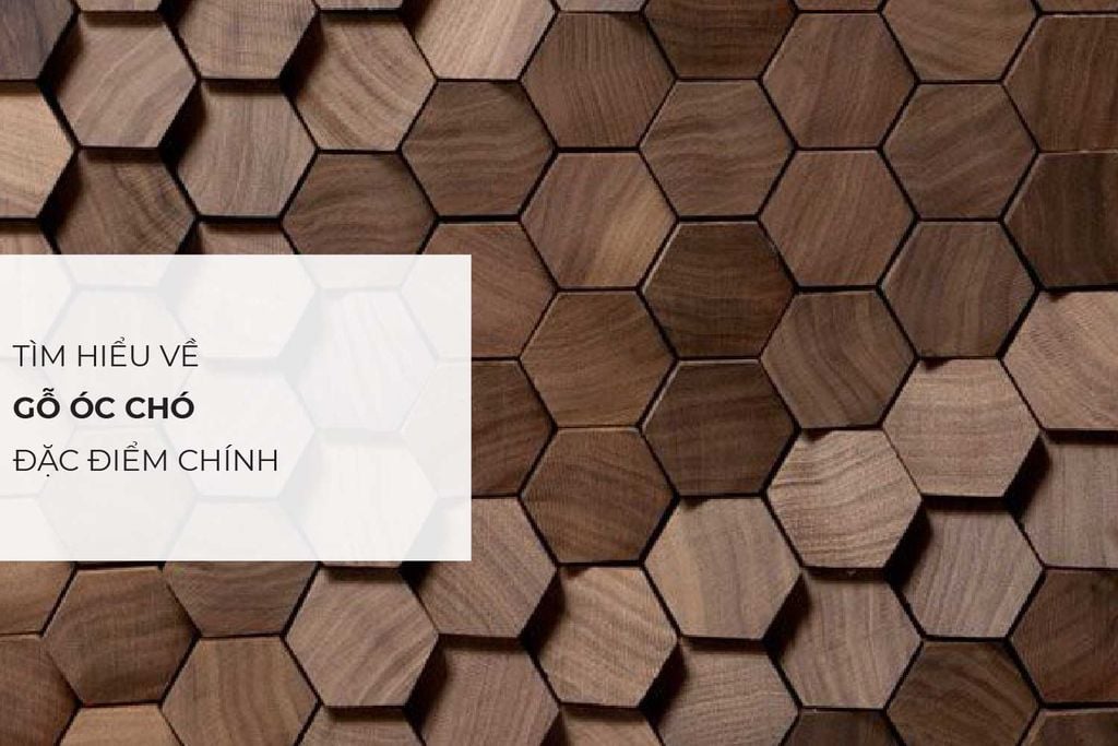 Màu gỗ óc chó và hướng dẫn cách pha màu óc chó 1 Màu gỗ óc chó và hướng dẫn cách pha màu óc chó